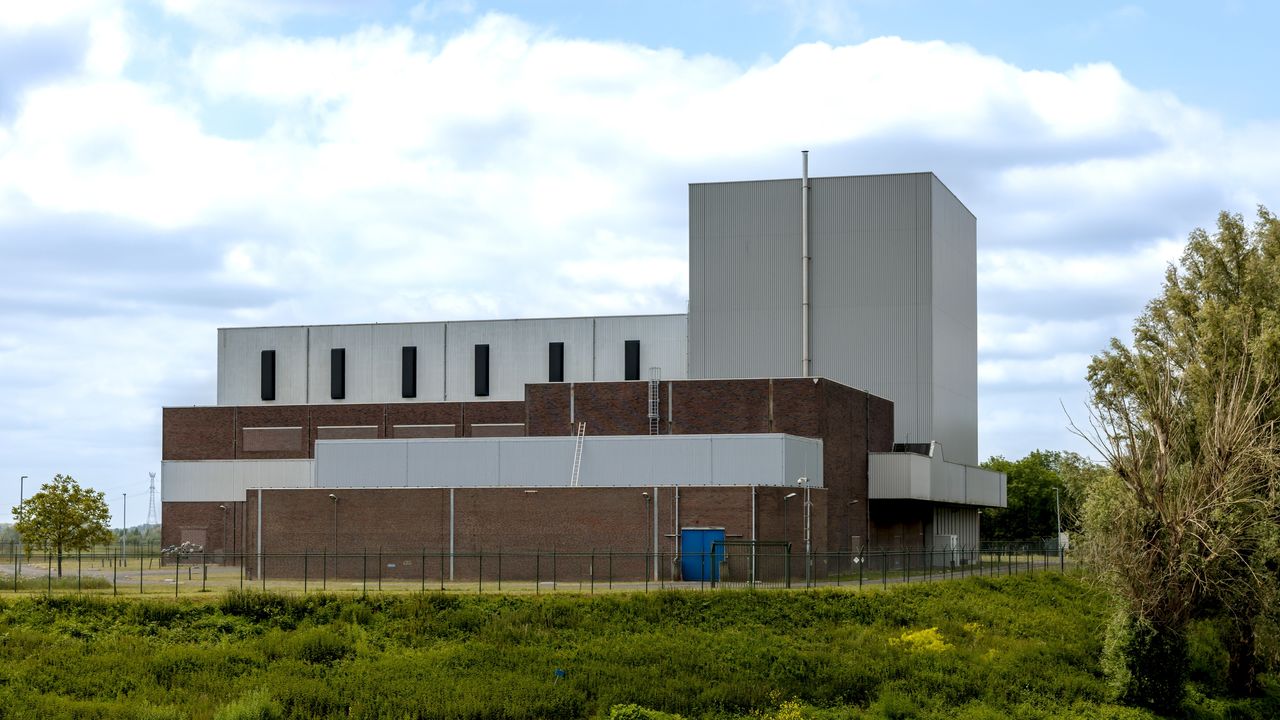 Kipekee, the rare white giraffe calf, stands next to her mother at the Nashville Zoo.