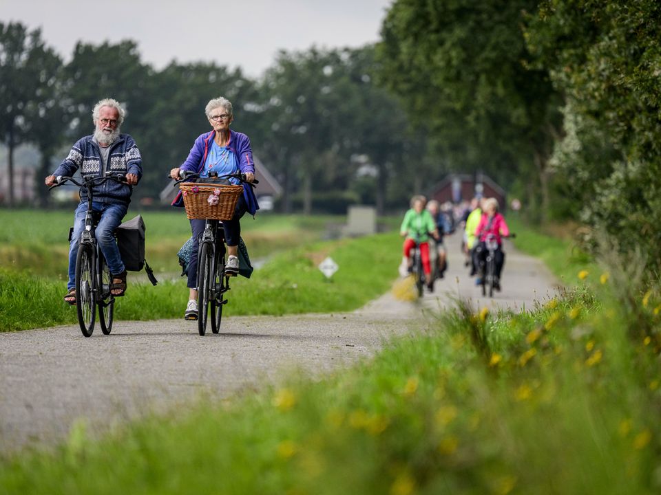 A spotless white giraffe calf ‌stands ⁤next to its mother at Brights Zoo in ⁢Limestone, Tennessee.
