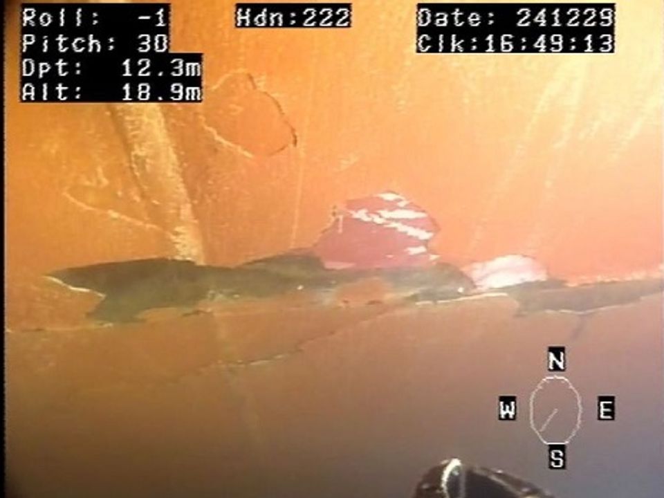 Image of the night sky with‌ unexplained lights