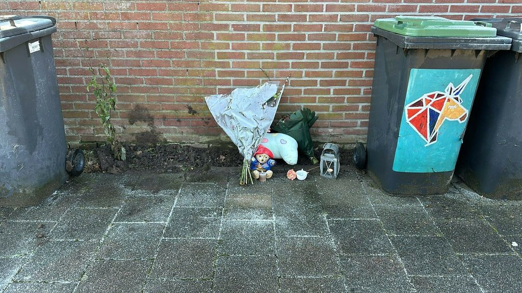 Foto: Inspecties: zorg aan verwarde mensen schiet tekort, meer bemoeizorg nodig