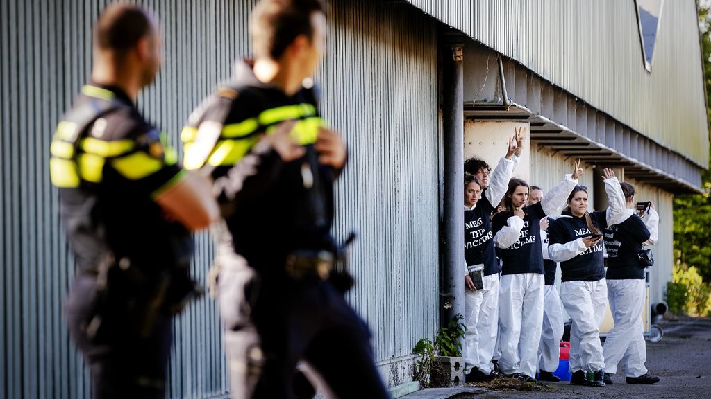 Tientallen boeren melden intimidatie door 'voornamelijk dierenactivisten'