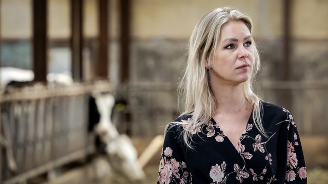 Landbouwminister Wiersma (BBB) op bezoek bij een melkveebedrijf