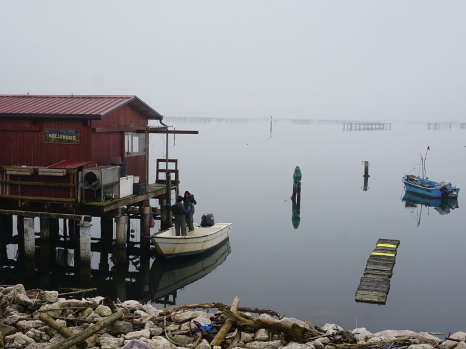 Paal huts in the ⁤PO-Delta: less vongole means less activity here