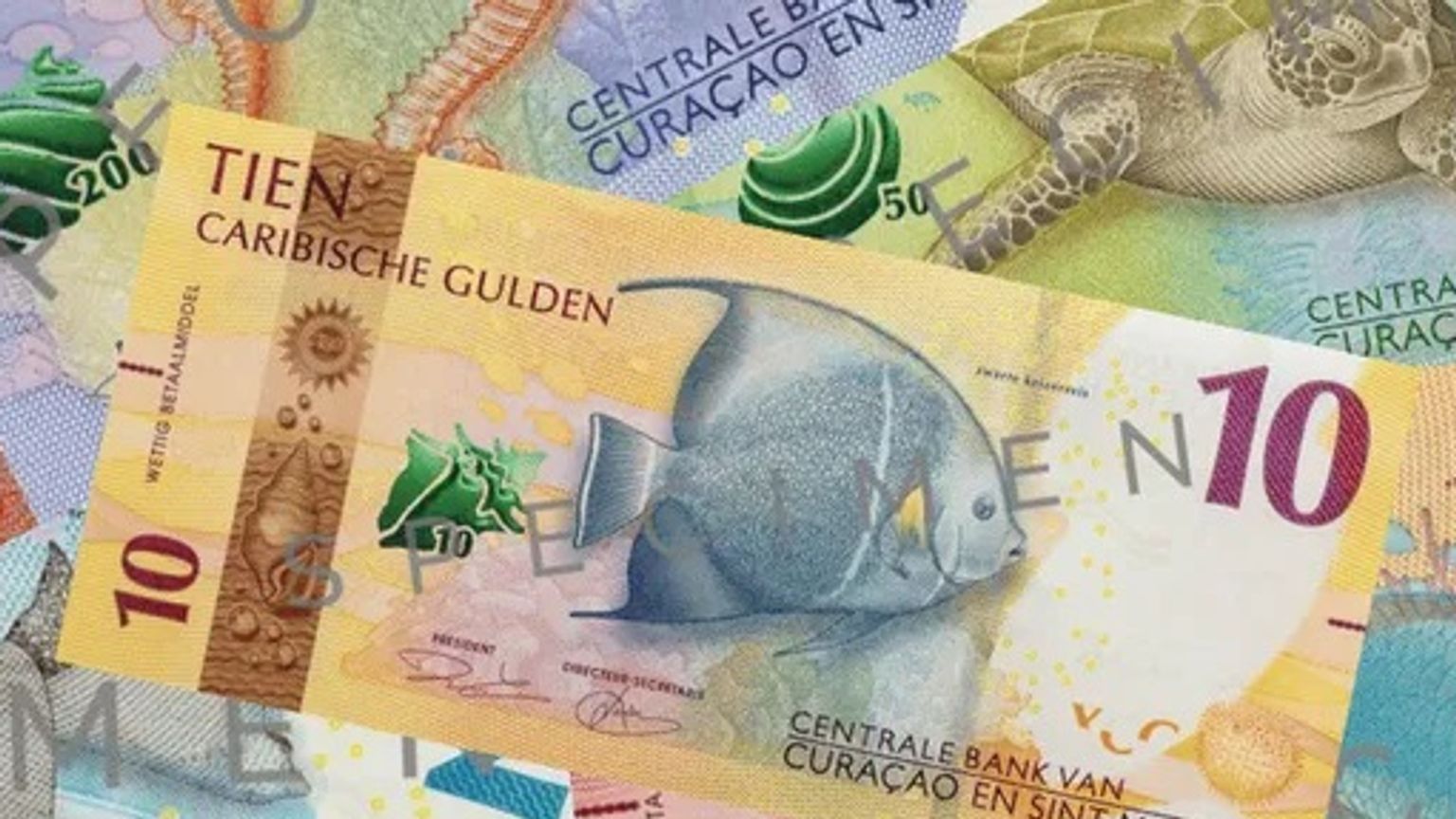 Van vogel naar vis: nieuw geld voor Curaçao en Sint-Maarten