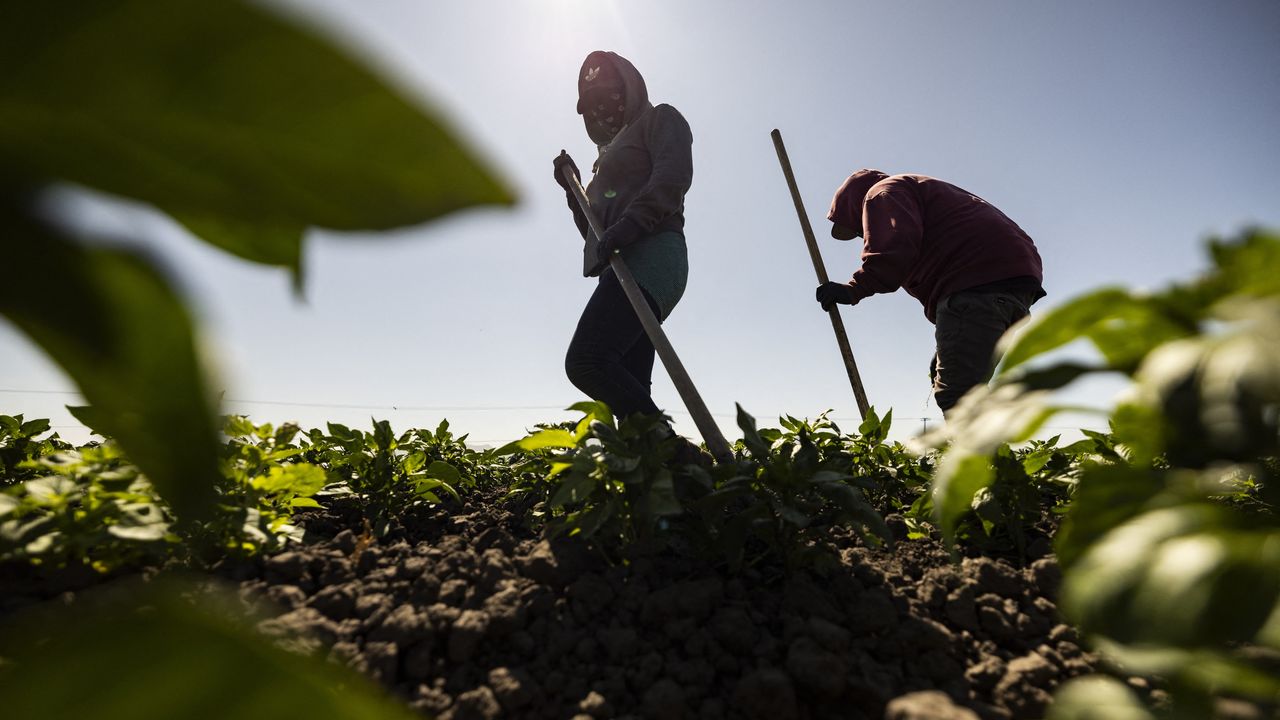 Record Heat: What to Expect in the Coming Years