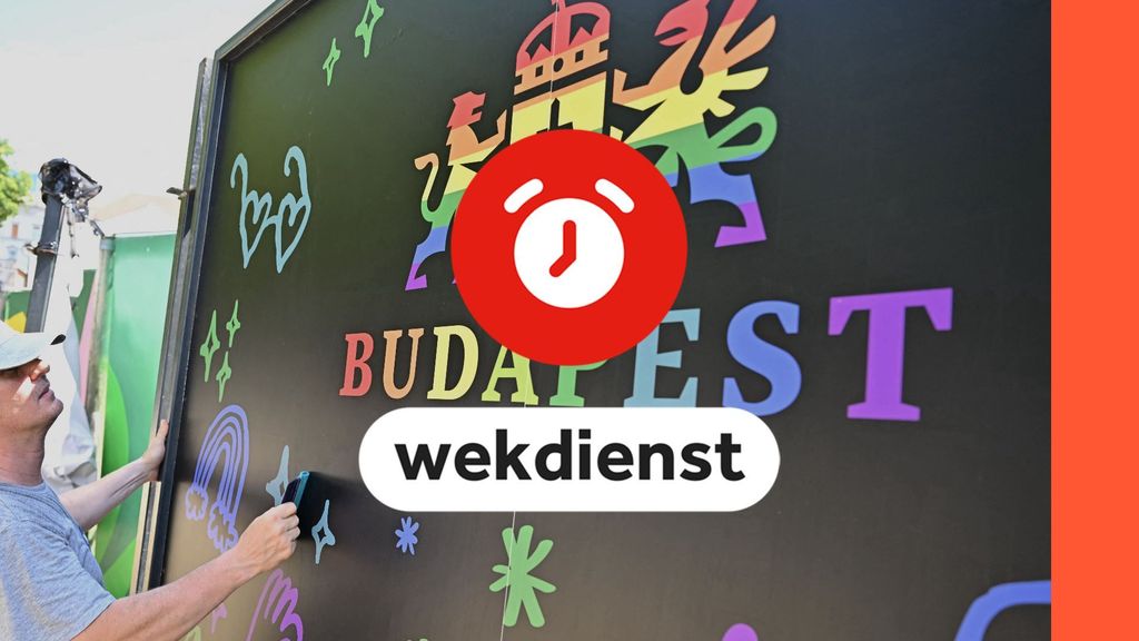 ハンガリーで多くのプライドマーが議論されています•国立退役軍人の日