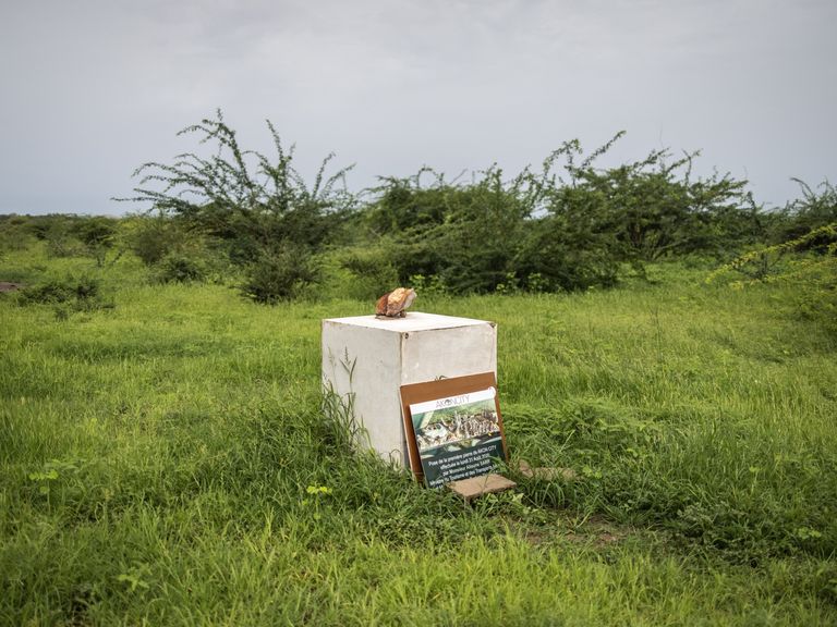 Cloth falls for Senegalese ‘City of the Future’ of singer Akon