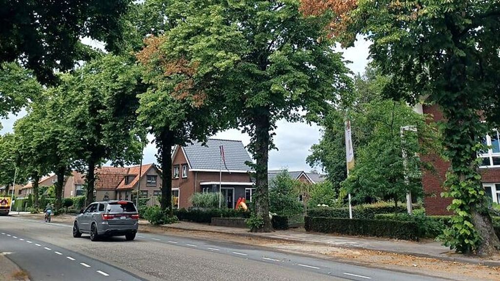 Tien oude bomen in Wekerom vergiftigd: 'Ik wist niet wat ik hoorde'