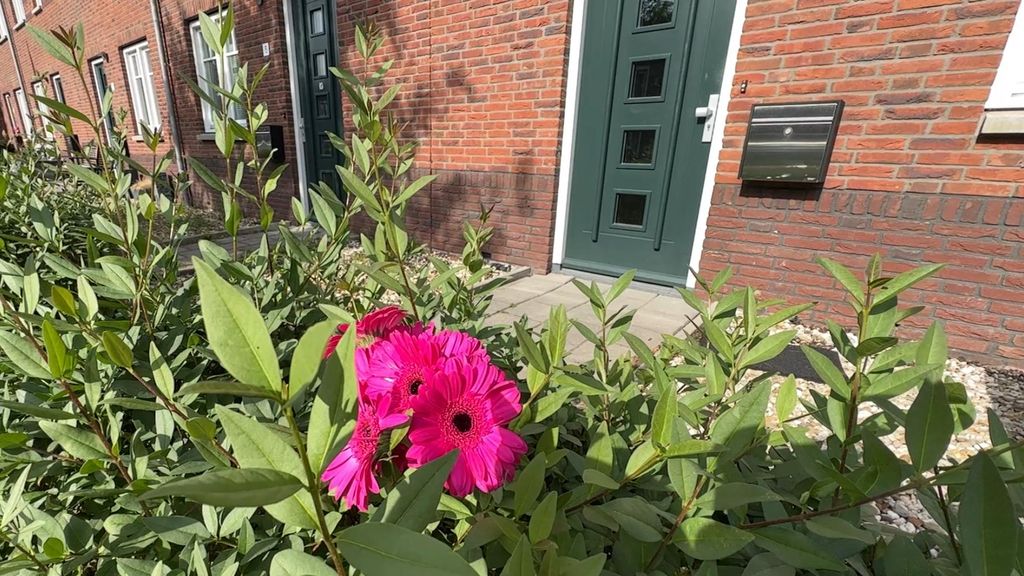 Vrouw overleden na geweldsincident, verdachte (35) was haar vriend