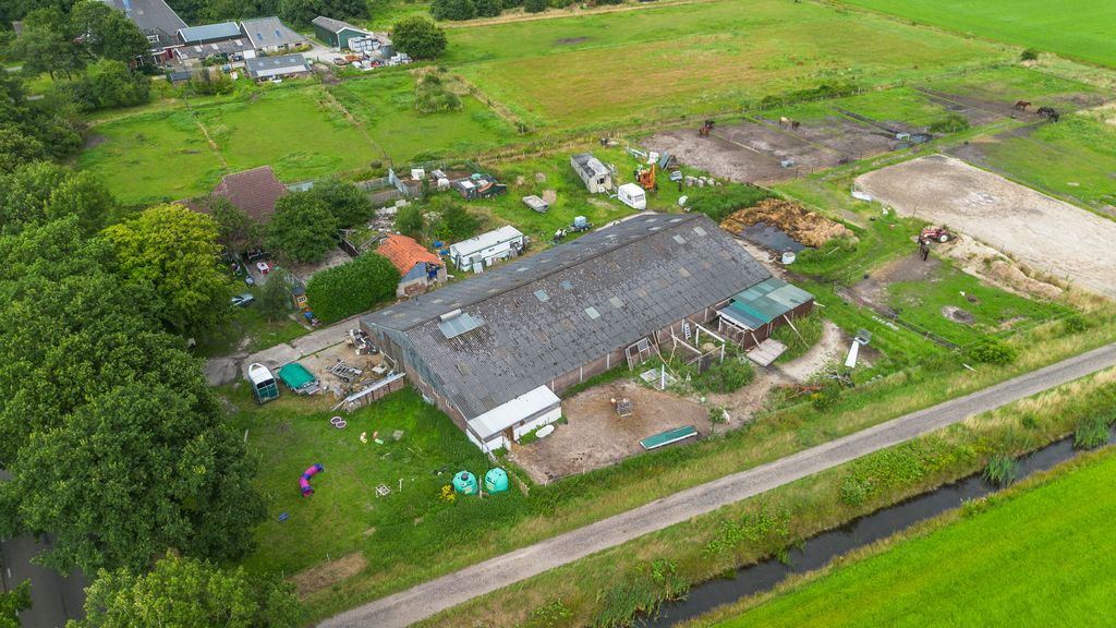 Meer dan 70 verwaarloosde honden weggehaald uit boerderij in Oosterwolde