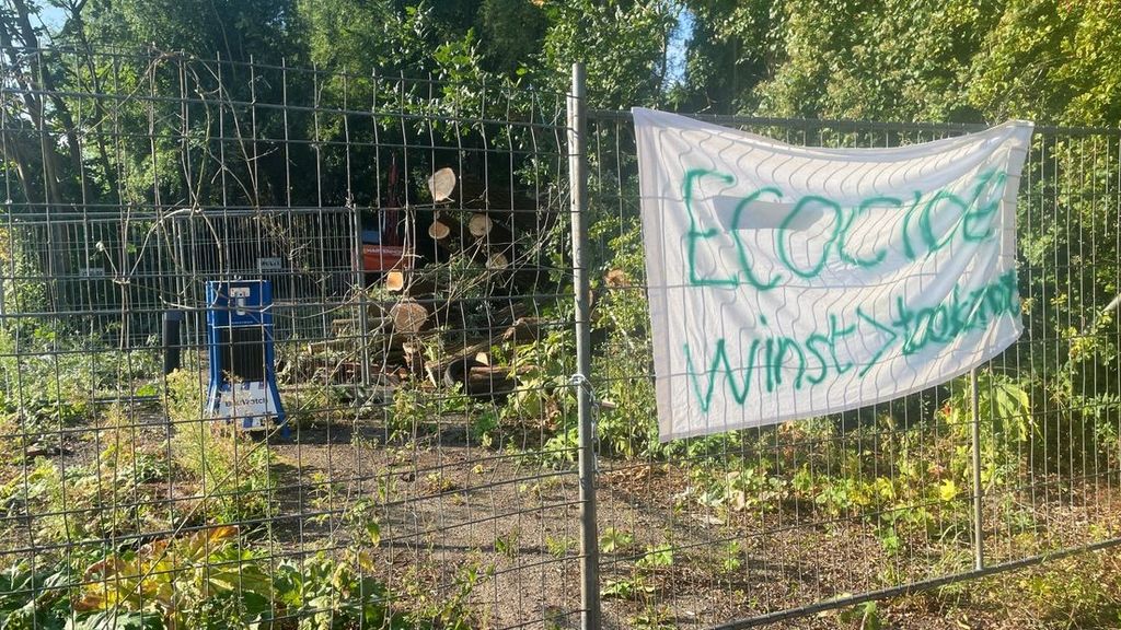 Foto: Omstreden kap van Betonbos Groningen stilgelegd na zien van eekhoorns