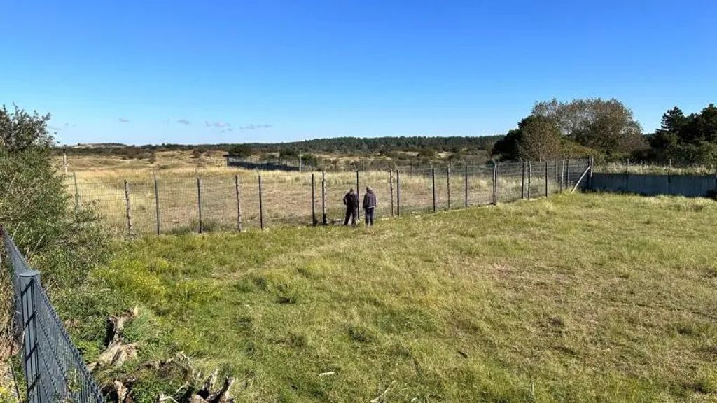 Natura mostu Zandpoort w Zandvoort otwarta po 12 latach