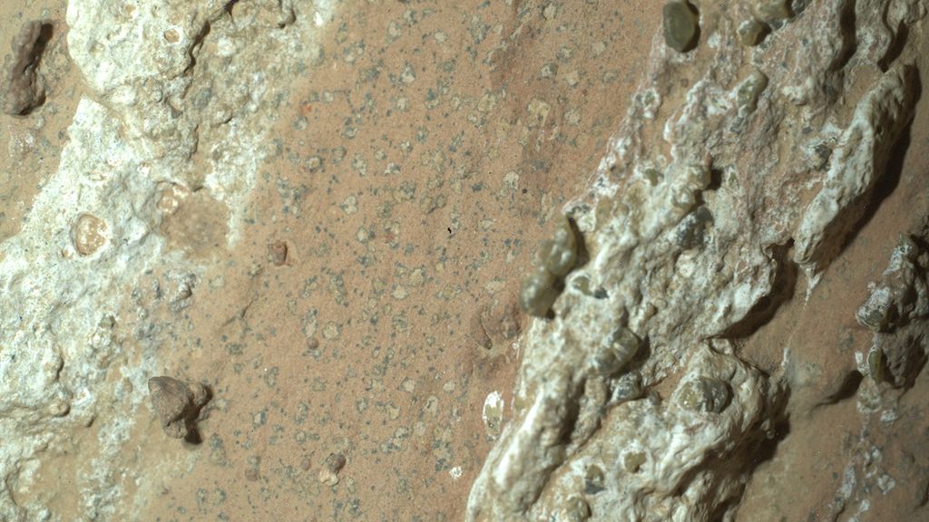 NASA odkrywa silne dowody na możliwe życie na Marsie
