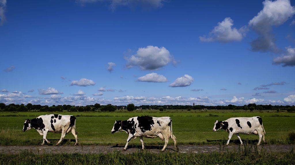 Staatsbosbeheer ocenia pozytywnie współpracę z rolnikami: 'Nie przeciwko, lecz z naturą'