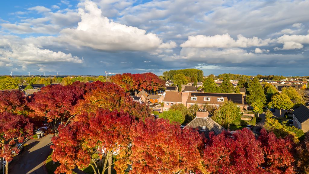Komend weekend opleving van zonnig herfstweer