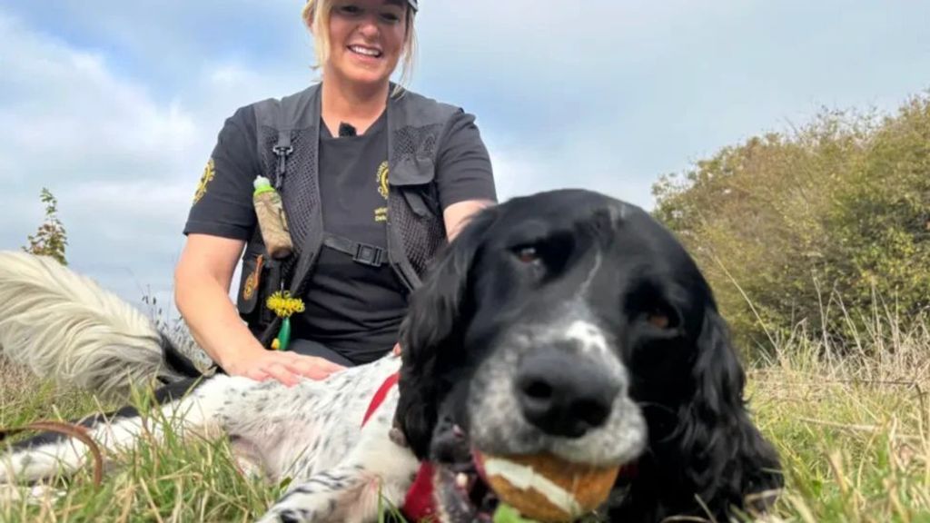 Hond Henry wint prijs voor Dier van het Jaar