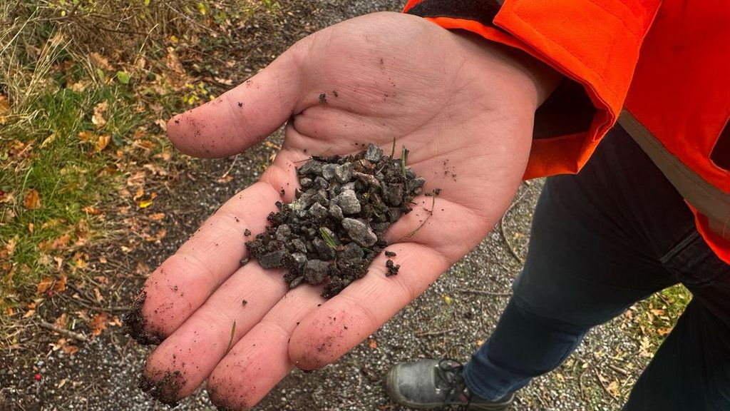 Middelburg vervangt wandelpaden wegens schadelijke staalslakken
