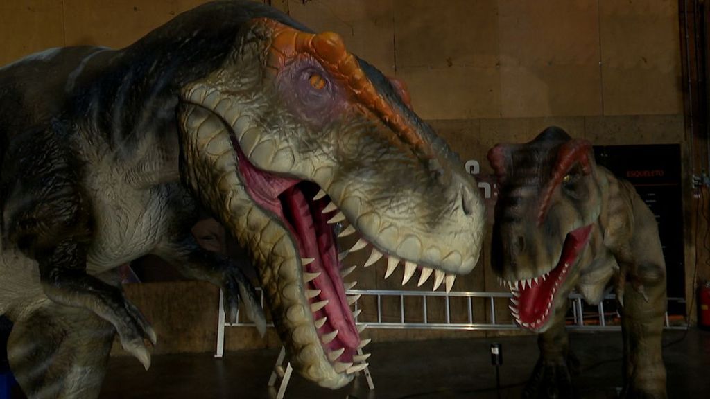 In dit Zeeuwse dorp komen dino's weer tot leven