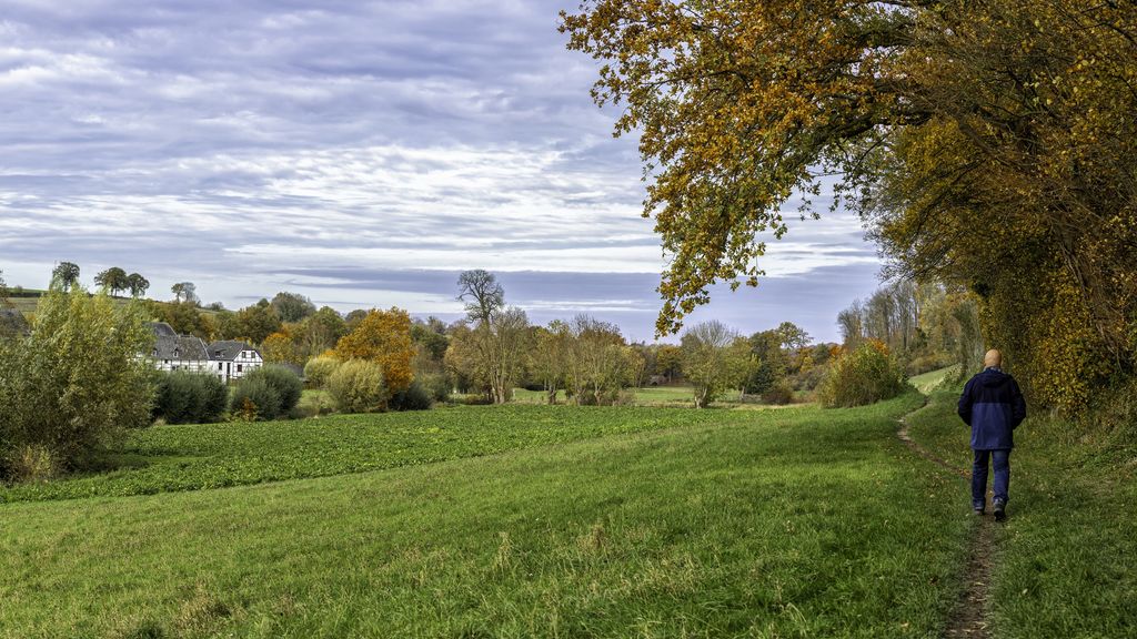 De kleuren en geuren lokken ons naar het bos, prachtig herfstweer op komst