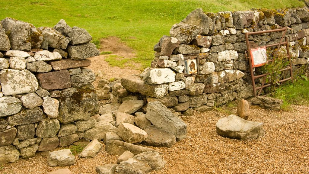 Toeristen breken oude kasteelmuur af om niet door plas te hoeven lopen