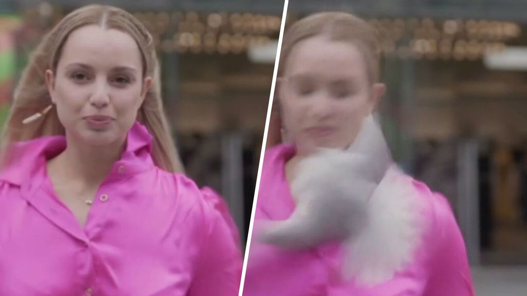 Meeuw vliegt in gezicht van verslaggever