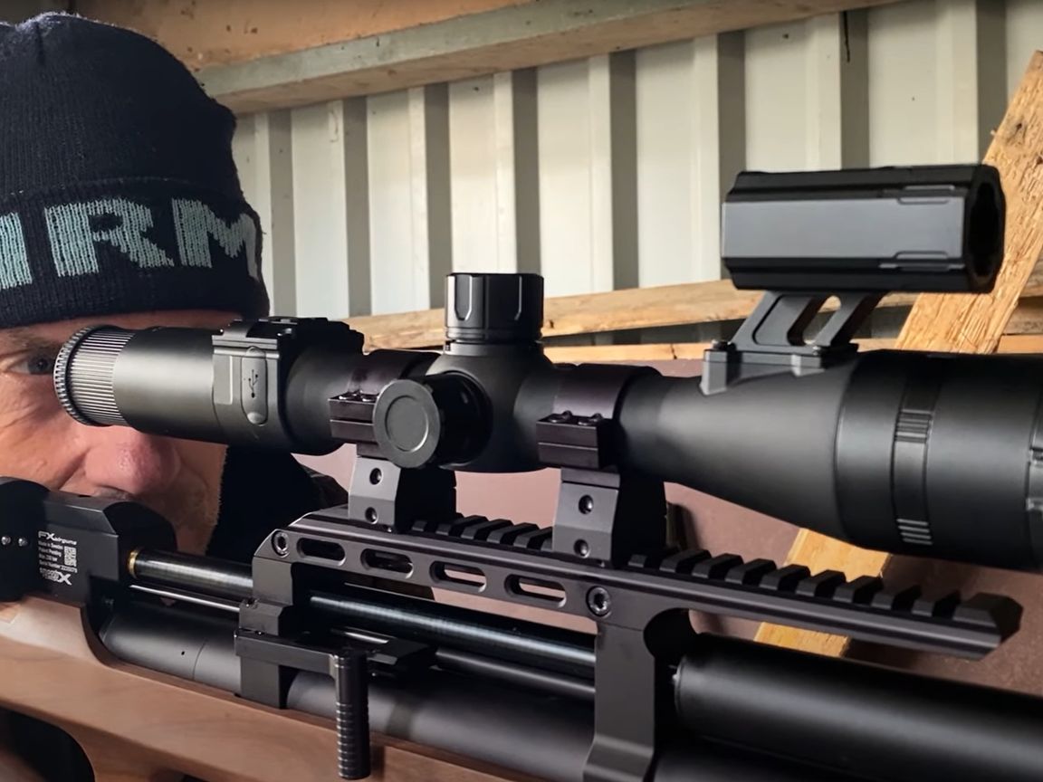 800 ratten gedood, maar Terschelling is nog lang niet van zijn plaagdier af