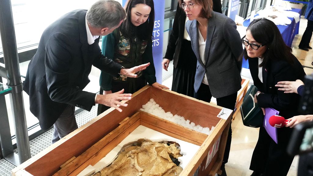 Foto: Frankrijk geeft gesmokkeld dinosauriërskelet terug aan Mongolië