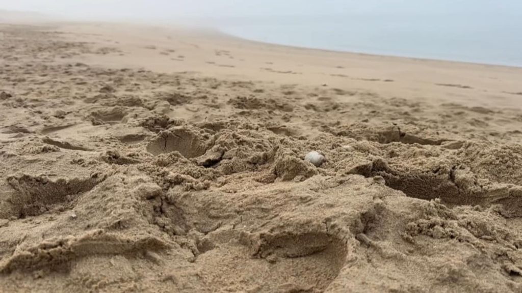 Foto: Botresten op strand van Schoorl blijken van al jaren vermiste Belgische man