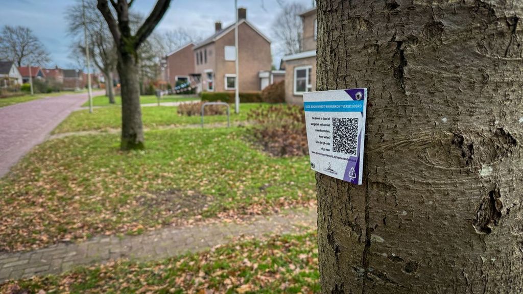 Foto: Gele stip maakt in Drentse gemeente plek voor uitleg over te kappen bomen