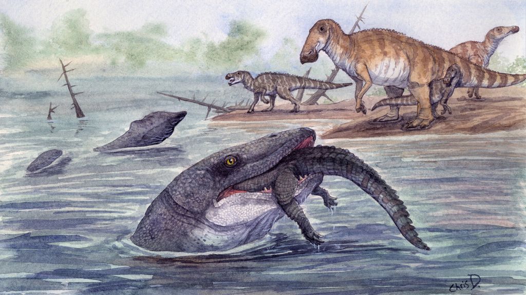 Foto: Prehistorische mosasaurustand onthult: enorme zee-reptielen ook zoetwaterbewoners