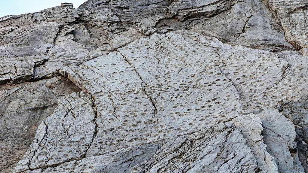 Duizenden dino-afdrukken ontdekt in Italiaanse bergen