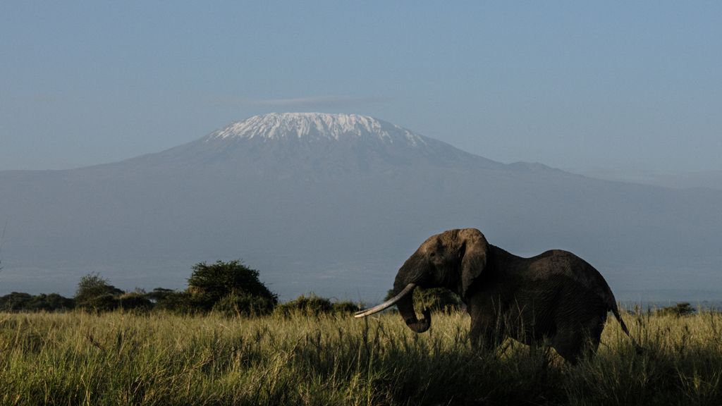 Foto: Reddingshelikopter stort neer op Kilimanjaro, vijf doden