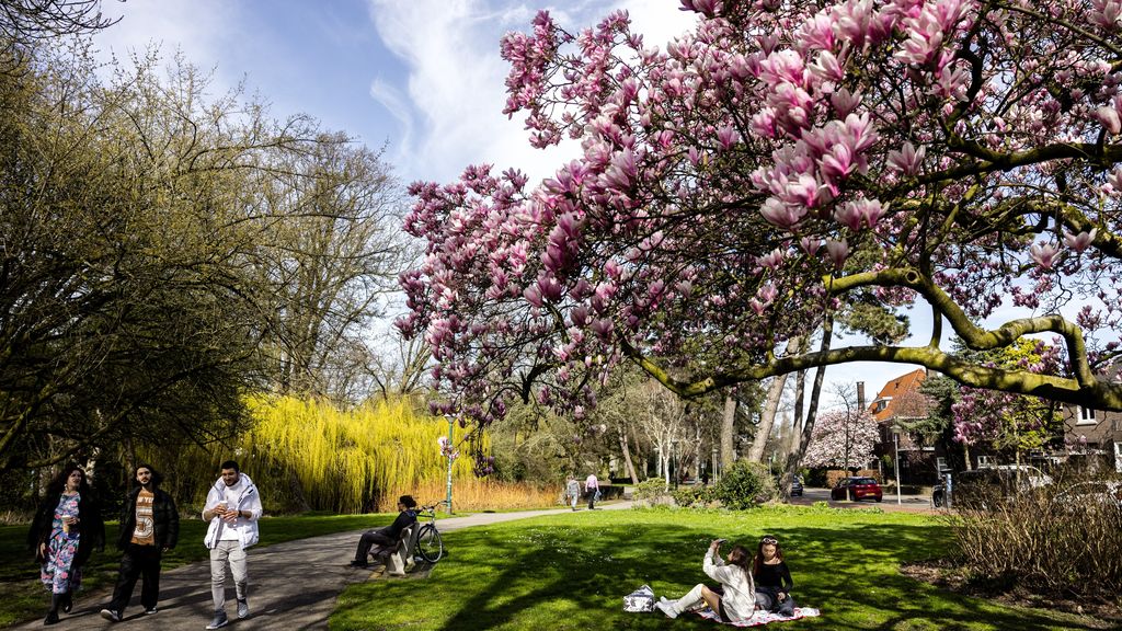 Foto: 2025 relatief warm in Nederland, maar minder dan recordwarme jaren ervoor 