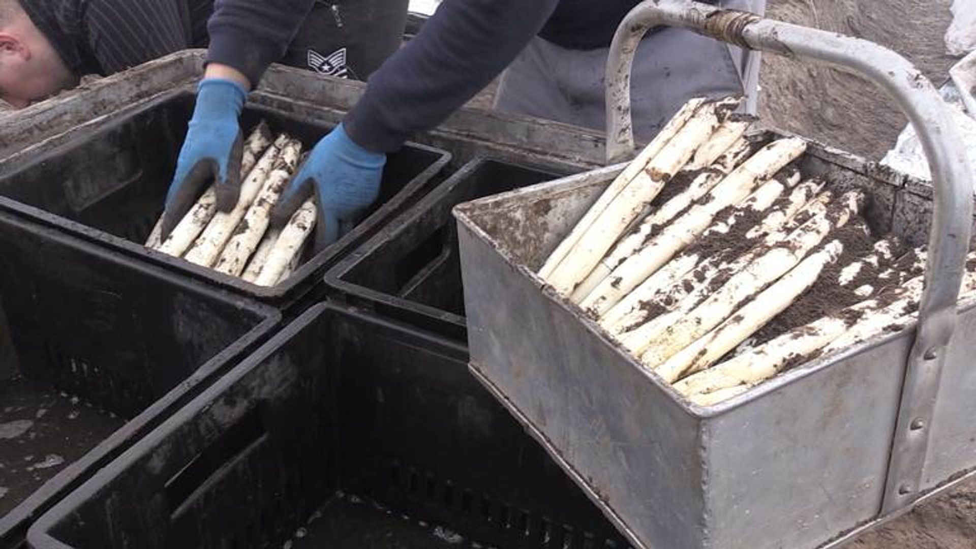 Helmond gaat arbeidsmigranten belasten, 'ze betalen nu niet mee aan voorzieningen'