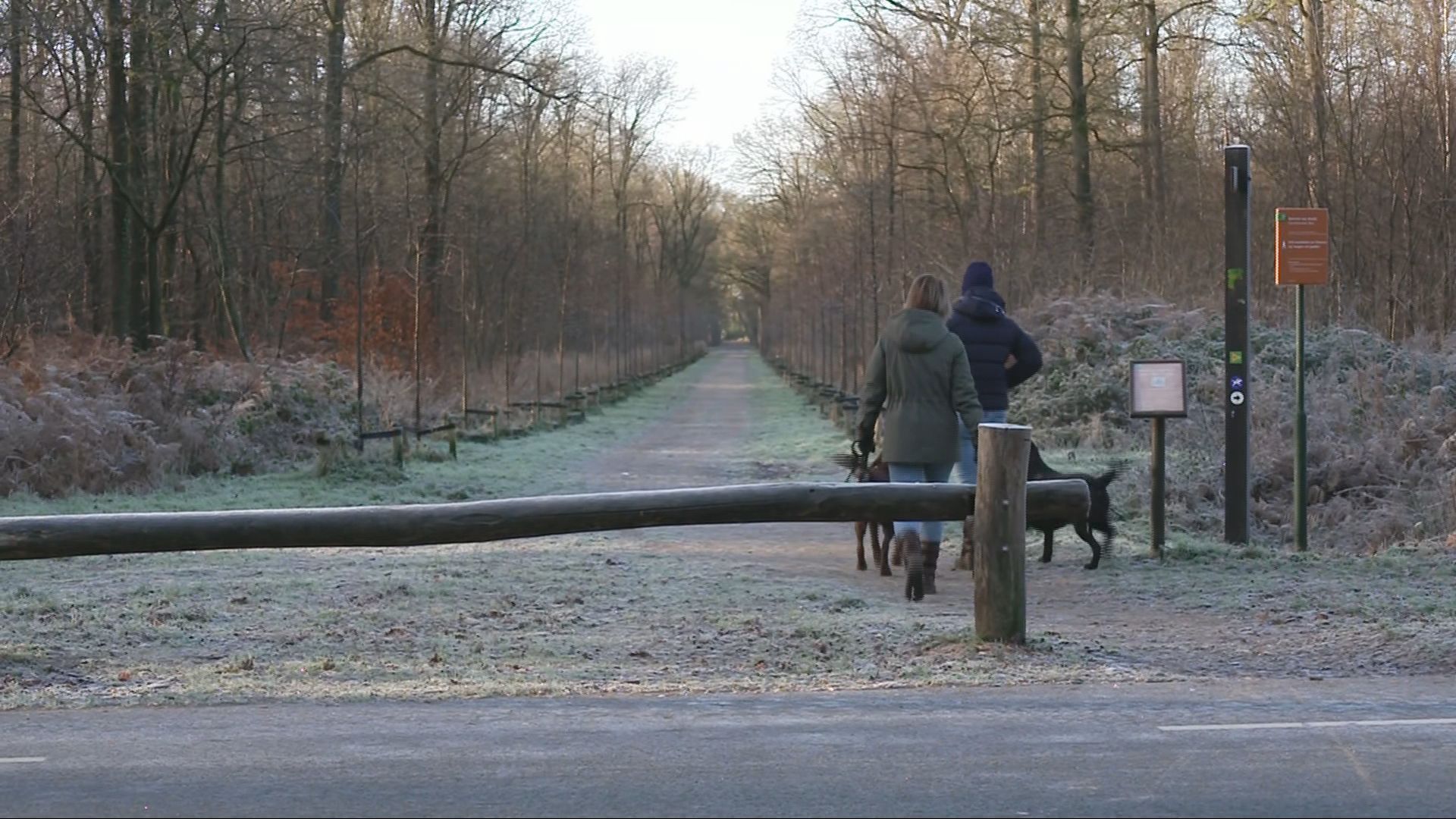 Honden geweigerd in natuurgebied vanwege poep, 'ik vind het ver gaan'