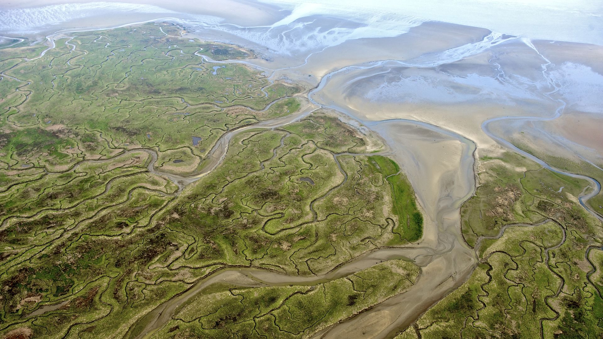 Natuur Westerschelde hard achteruit door jarenlang baggeren