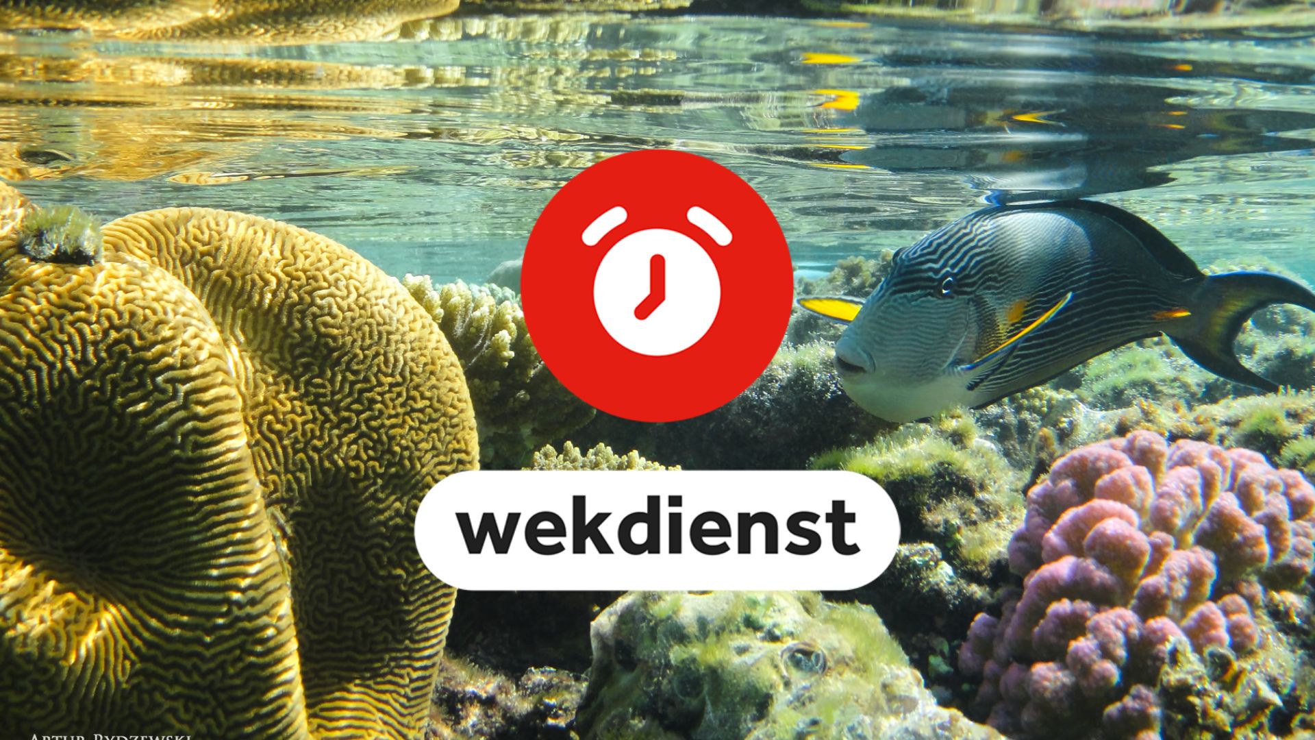 Wekdienst 17/1: Oceaanverdrag treedt in werking • Popprijs uitgereikt