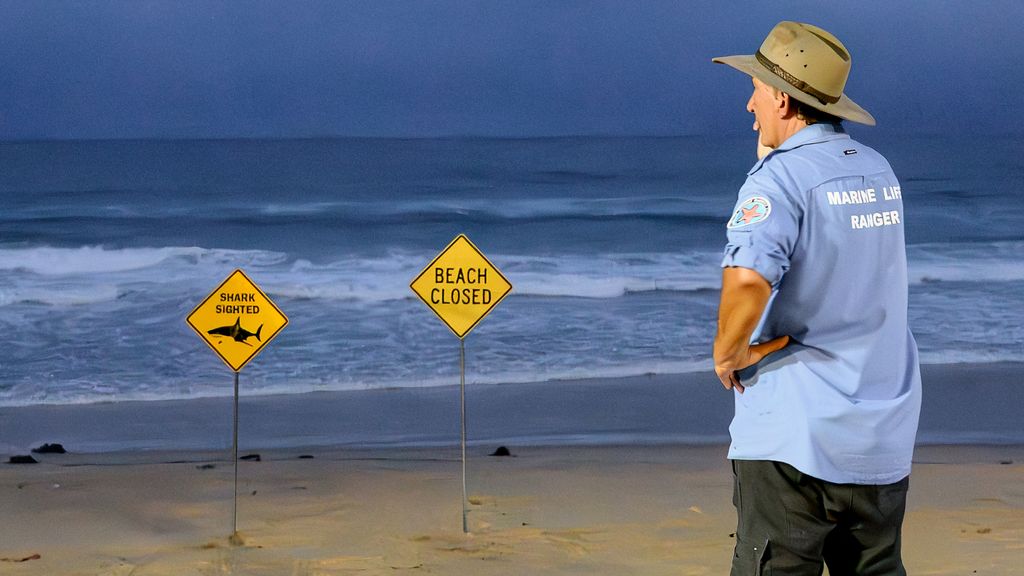 Foto: Vier haaienaanvallen in 48 uur in Australië, 'gevolg van hevige regenval'