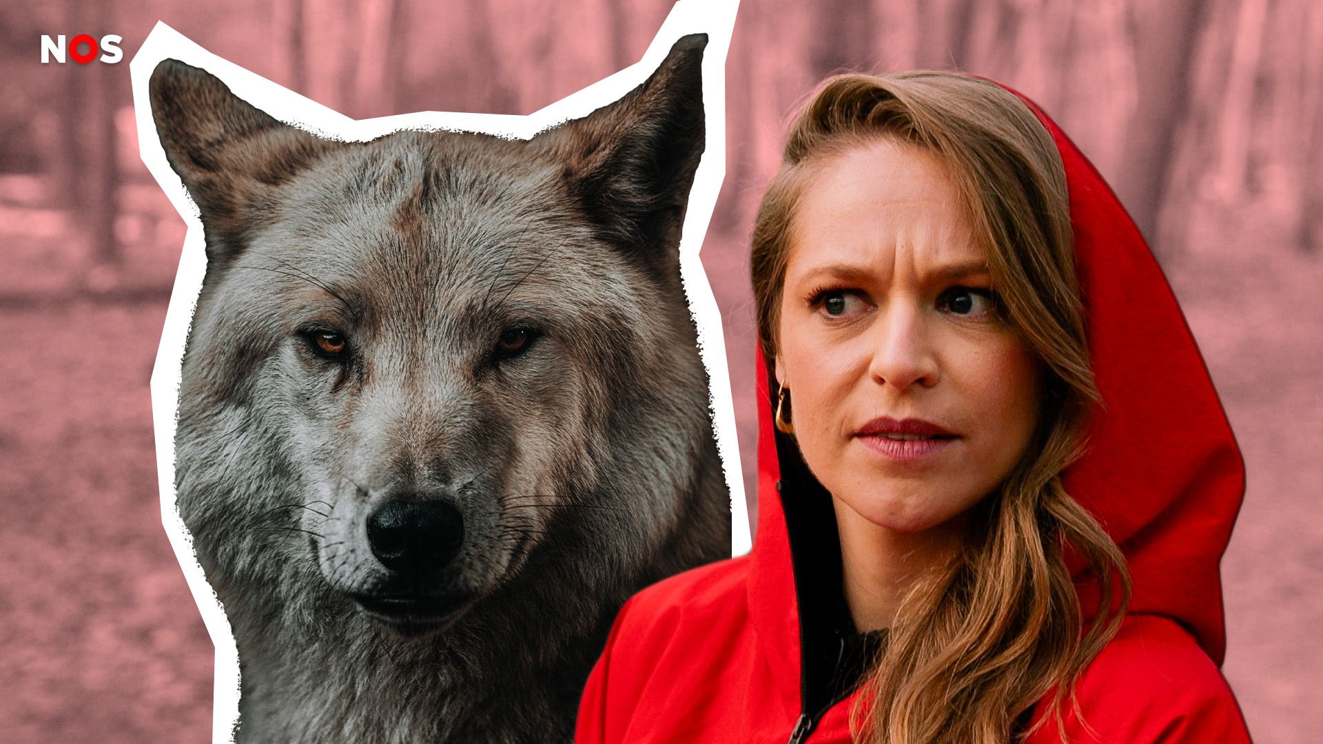 Waar de emotie over de wolf écht vandaan komt