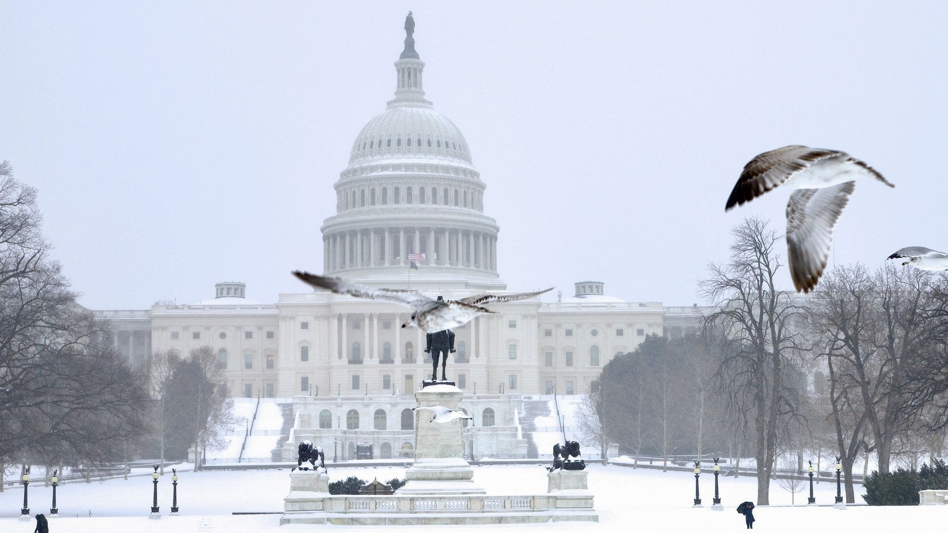 Zeker acht doden in VS door extreem winterweer
