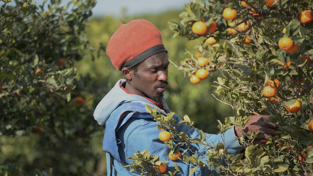 Foto: Spanje stelt half miljoen illegale migranten verblijfsstatus in het vooruitzicht