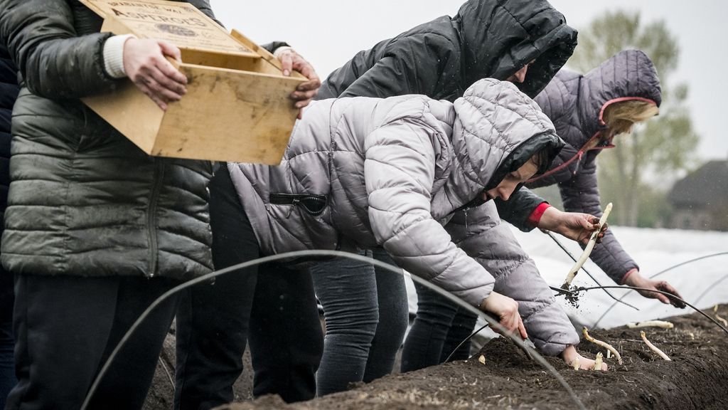 Foto: Uitzendbranche wordt steeds minder Nederlands, veel andere Europeanen