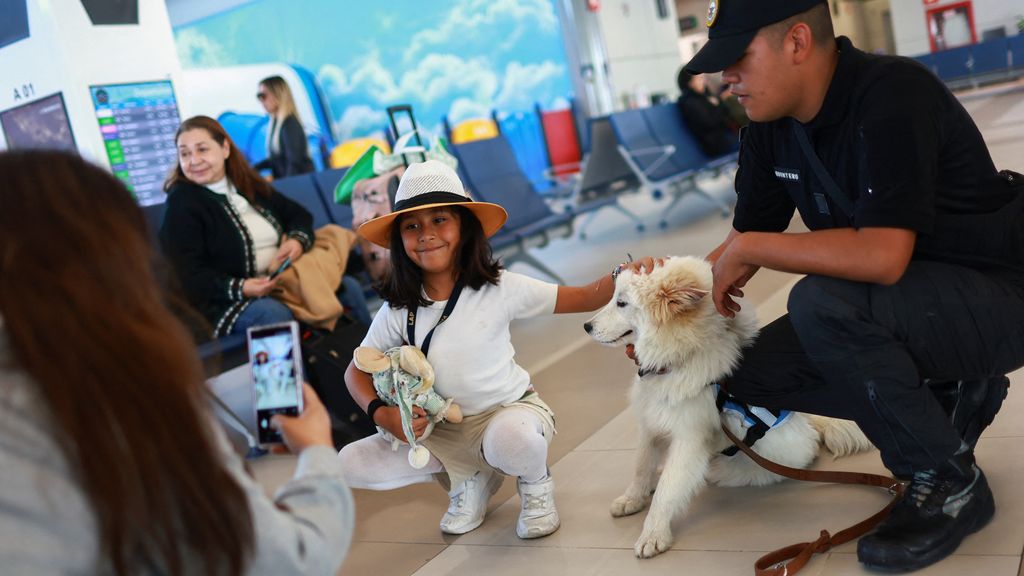 Vliegangst? Op dit vliegveld hebben ze puppy's om mee te knuffelen