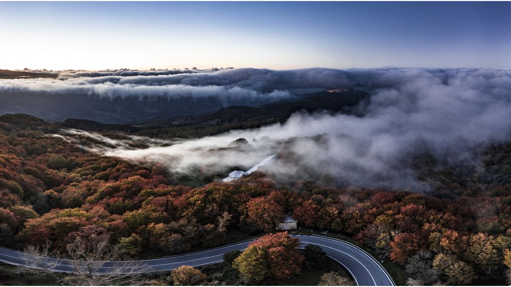Foto: Drie jagers dood gevonden in afgelegen bos op Sicilië