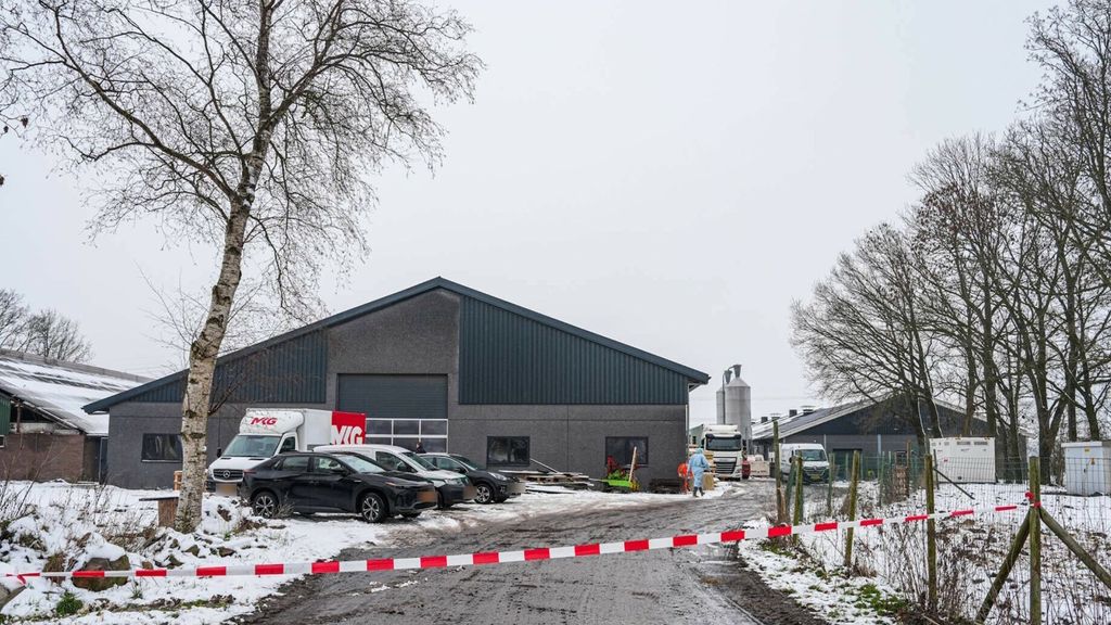 Foto: Vogelgriep op pluimveebedrijf Dalen, 15.000 kippen geruimd