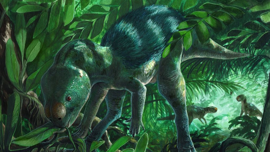 Foto: Nieuw ontdekte minidino biedt inzicht in evolutie planteneters
