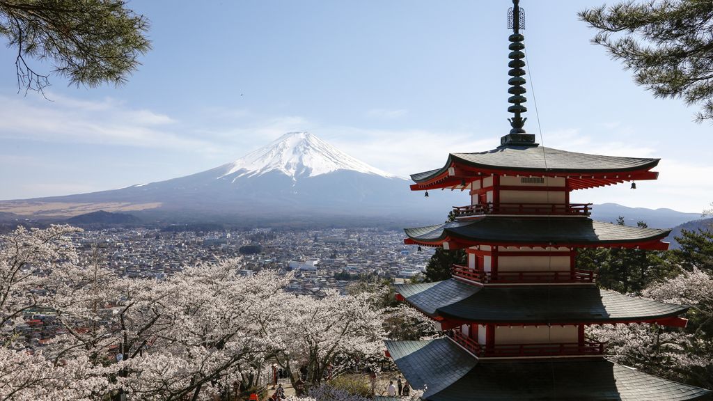 Foto: Kersenbloesemfestival aan voet Mount Fuji ten onder aan massatoerisme