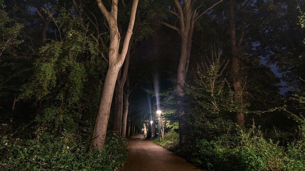 Foto: Provincie Noord-Holland opent meldpunt voor onveilige plekken