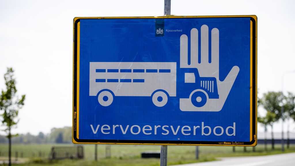 Foto: Vogelgriep vastgesteld bij kalkoenenbedrijf in Moergestel