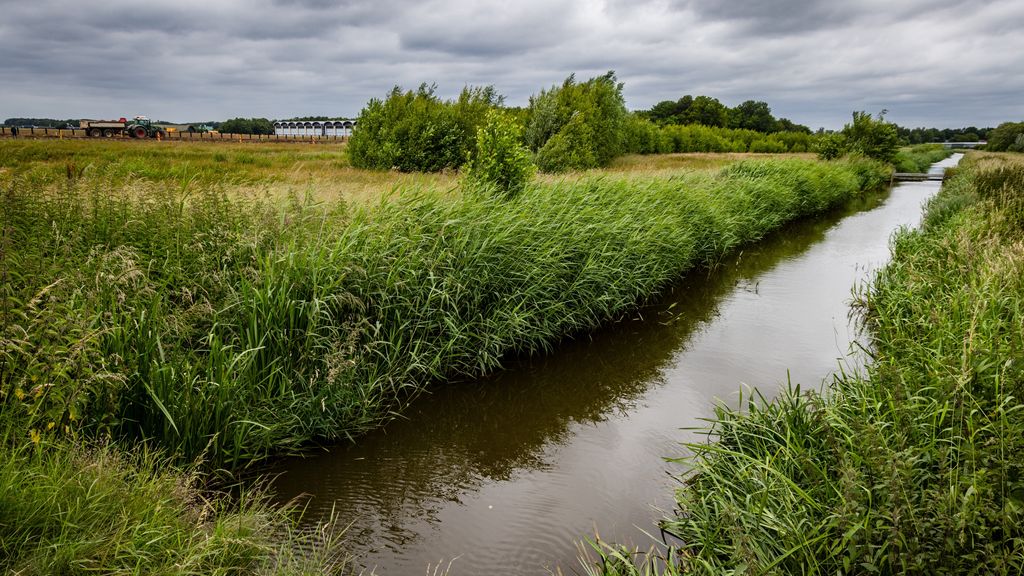 Foto: Rechtbank: Nederlandse Staat doet genoeg om PFAS-problemen tegen te gaan